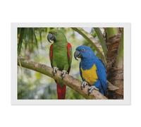 LPSADGF Kit de peinture diamant double perroquet forêt tropicale pour adultes, 20,3 x 30,5 cm, peinture par numéros pour adultes, débutants, version horizontale, peinture à points diamants, art d'art