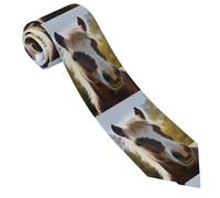LPSRTWE Animal Zebra Cravate classique en soie tissée jacquard pour homme, Cheval poney animal, taille unique