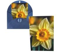 LPSRTWE Cartes de vœux vierges semi-pliées en papier cartonné avec enveloppes, carte d'anniversaire 10,2 x 15,2 cm, carte vierge « Get Well » - Carte vierge « Get Well » - Carte de rétablissement