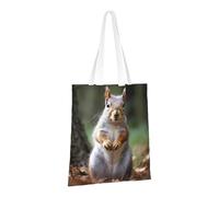 LPSRTWE Sac fourre-tout en toile robuste, réutilisable, sac d'épicerie, sac cadeau écureuil pour femme