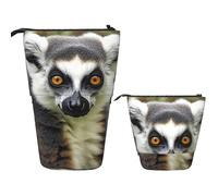 LPSRTWE Trousse à crayons télescopique artistique en forme de papillon sur pied, jolie trousse à crayons avec fermeture éclair, trousse à crayons portable pour bureau, Motif animaux lémuriens, Taille