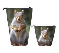 LPSRTWE Trousse à crayons télescopique avec fermeture éclair - Motif zèbre - Jolie trousse à crayons - Pour le bureau, écureuil, Taille unique