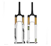 LQVAIPT Fourche à Suspension for vélo de Montagne 27,5/29 Pouces, Conique 1/2", Valve à air, axe cylindrique 100 x 15, débattement 160 mm, avec Amortissement du Rebond(White,29inch)