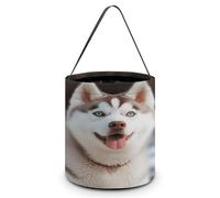 LQWOK Panier à bonbons, panier à bonbons imprimé chien husky piquant, sac à main, panier à bonbons portable, chien husky piquant, taille unique, Husky Piquant Dog, Taille unique, Élégant