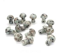 LQYXGS Décoration d'intérieur en Pierre de Cristal 2 0mm Mini Figurine Naturelle Crise DE Cristal Quartz, 0PCS / Ensemble(18)