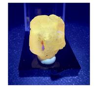 LQYXGS Décoration d'intérieur en Pierre de Cristal Spécimens de cérusite Naturelle (spath plombifère), boîte de 3,4 cm(Type A)