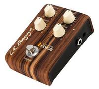 LR Baggs Align Series Reverb