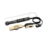 L.R. Baggs Anthem-SL