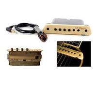 LR Baggs M1 Active micro rosace G