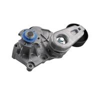 LR035556 Ensemble tendeur de courroie compatible avec Land Rover Range Rover Sport Discovery LR4 10-22 3.0L V6 5.0L V8 courroie d'entraînement Ldler