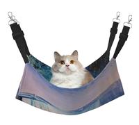 LRHCNZDCP Niagara Falls Lit hamac pour chat imprimé doux double couche suspendu pour petit animal de compagnie, taille M