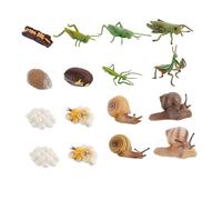 LRXIYODE 16 pièces Modèles Animaux Émulation Couleurs Aléatoires Jouets Éducatifs Science Cognition Garçon Fille Cycle de Croissance Couleur Aléatoire Couleur Aléatoire