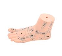 LRXIYODE 1pièce Modèle De Massage Acupuncture Du Pied Gauche Modèle Éducatif Réflexologique Détails Réalistes Pour Enseignement Et Affichage