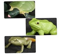 LRXIYODE 2 Ensembles Figurines Animaux Évolution Amphibien et Tortue Modèles Éducatifs pour Garçon Fille Décoration Pédagogique