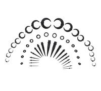 LRXIYODE Écarteur D’Oreille en Acrylique Corne Noir Kit de Bouchons D’Oreilles Coniques pour Piercing Extensible Léger et Confortable Adapté Hommes et Femmes Accessoires de Perçage