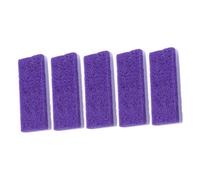 LRXIYODE Lot De 5 Limes Pieds Exfoliantes Violettes, Outil Manuel De Soin Des Pieds, Éliminateur De Callosités Et Peau Dure, Accessoire Pédicure Pratique Pour Usage Quotidien à Domicile
