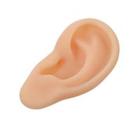 LRXIYODE Modèle Oreille Silicone Réaliste Flexible pour Enseignement et et Réutilisable Adapté Éducation et Consultation Auditif