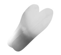 LRXIYODE Semelles Intérieures en Acier Inoxydable Anti-Perforation Taille 38 pour Hommes et Femmes Semelles Robustes pour Chaussures de Randonnée et Travail Protection Pied Clous et