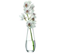 LSA International - Vase soliflore, Verre, Claire, 29 cm