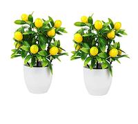 LSFYYDS Lot de 2 mini plantes artificielles en pot de 24,5 cm, citronnier artificiel, bonsaï, fausse verdure en plastique, blanc, pour la maison, la table, le bureau, la salle de bain