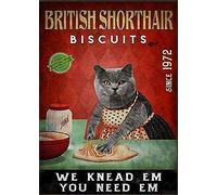 Lsjuee Plaque en étain rétro Chat British Shorthair Biscuits Signs I Only Want Cats Funny Farm Kitten 4 trous pour une décoration facile à suspendre pour les fans de Kitty Farmers 20,3 x 30,5 cm
