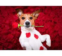 Lsping puzzle 1000 pièces adultes animaux Chiens Roses Jack Russell Terrier Red Petals Glance 50x70cm