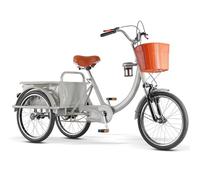 LSQXSS Tricycle Cargo avec Cabine arrière, vélo à 3 Roues avec Roues de 20 Pouces, Tricycle Adulte avec Double freinage, vélo à Assistance électrique pour Les Loisirs, Le Shopping,Suspension Avant