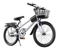 LSQXSS Vélo de Montagne pour Jeunes, vélo à Vitesse Unique, Freins Avant et arrière, vélo de Ville, Selle réglable en Hauteur, vélo de croisière Confortable avec Porte-Bagages arrière