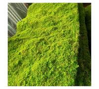 LSSHQ Mousse Artificielle en Plein Air Faux Nattes Mousse de Simulation Coton Perlé pour Maison Magasin, Terrasse Simulation Tapis D'herbe Artificielle(G)