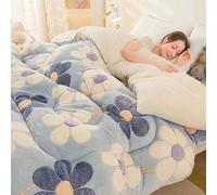 lsxlkha Couette d'hiver,Couette Double Chaude Gonflant Édredon, Anti Allergène Couette,Couette Laine Luxueuse, Chaud Et Confortable 150x200cm 3kg