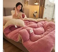 lsxlkha Duveteux Couette,Couette Double Chaude Gonflant Édredon, Anti Allergène Couette,Couette Laine Luxueuse, Chaud Et Confortable 180x220cm 4kg