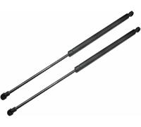LSYSND Lot de 2 vérins à gaz pour hayon arrière, tiges de Support compatibles avec BMW X5 E53 2000, 2001, 2002, 2003, 2004, 2005, 2006, Accessoires