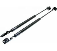 LSYSND Tiges de Support de Ressorts à gaz pour amortisseurs de hayon arrière de Voiture, pour Hyundai Terracan HP 2001, 2002, 2003, 2004, 2005, 2006