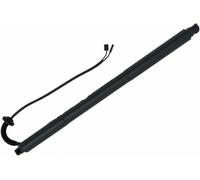 LSYSND Vérin de hayon électrique pour Coffre et hayon électrique pour Buick pour Envision 2014 - Vérins à gaz 22895254 23226556. (Droite)