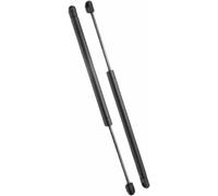 LSYSND Vérins à gaz pour hayon arrière de Voiture, tiges de Support compatibles avec Focus MK1 Hatchback ZX3 ZX5 SVT SE Ses S2 1998-2004, Accessoires