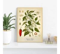 LTjiajuypd Affiche botanique vintage de cuisine, peinture sur toile, citron, poivre noir, plantes médicinales, art mural, décoration d'intérieur, 40 x 55 cm, sans cadre