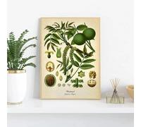 LTjiajuypd Affiche botanique vintage de cuisine, peinture sur toile, citron, poivre noir, plantes médicinales, art mural, décoration d'intérieur, 40 x 55 cm, sans cadre