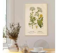 LTjiajuypd Affiche et impressions vintage antiques de plantes sauvages et de fleurs botaniques, art mural, décoration de chambre, peinture sur toile, 30 x 45 cm, sans cadre