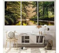 LTjiajuypd Affiche imprimée sur toile, représentant une forêt sereine, idéale pour la décoration murale de votre maison (50x70cm-3 pièces)