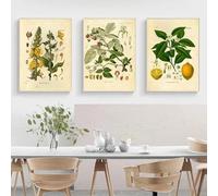 LTjiajuypd Affiches et impressions vintage de plantes botaniques et de fleurs, art mural, toile, peintures, images murales pour décoration de salon, 60 x 85 cm, 3 pièces, sans cadre