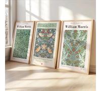 LTjiajuypd Ensemble de fleurs par William Morris, affiche d'art moderne botanique florale sur toile, décoration automnale avec saule (50x70cm-3 pièces)