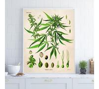 LTjiajuypd Impression sur toile, illustration, affiche vintage, impression botanique, peinture sur toile de plante, art mural, tableau, décoration de salon et d'intérieur (70 x 110 cm/sans cadre)