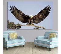 LTjiajuypd Impression sur toile moderne et simple, art mural, aigle aux ailes déployées, affiche HD, décoration pour la maison, le salon, la chambre à coucher (60 x 80 cm)