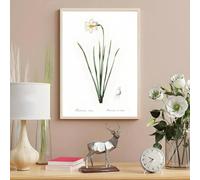 LTjiajuypd Plantes nordiques Fleurs sauvages Affiche nordique Maison Salon Bar Couloir Sticker Mural Art Chambre Décoration intérieure 60x80cm Sans cadre