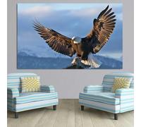 LTjiajuypd Tableau décoratif moderne et épuré représentant un aigle roc aux ailes déployées, imprimé sur toile HD (50 x 70 cm), pour la maison, la chambre ou le salon.