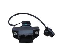 LTQSIV Serrure Hayon Arriere pour R&enault pour Dacia pour Lodgy 2012 2013 2014 2015 2016 2017 2018 Serrure Hayon Arrière Loquet De Verrouillage De Coffre 905030012R Accessoires Voiture