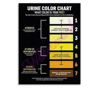 LTRAJUYNH Heat Stress First Aid Poster Rapid Cooling Techniques IV Fluids Monitoring Recovery Chart Bedroom Wall Print(Unframed,08x12inch(20x30cm))