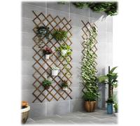 LTSRLL Treillis en Bois Extensible 44cm X 23cm ~ 300cm X 120cm Panneaux De Clôture en Treillis De Jardin Rivetés, Support De Vignes De Fruits Et Légumes pour Terrasse, Cour, Décoration Murale(H65)