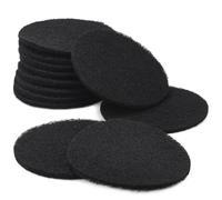 LTWHOME Activé Carboné Filtration Tapis Remplacement pour Eheim Ecco Pro 130/200/300 Ecco 2232/2234/2236 (Paquet DE 12)