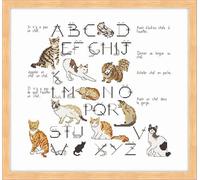 Luc Kit Abécédaire Expression chat 45x50 cm